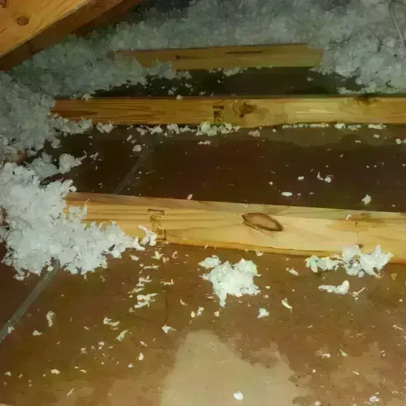 Attic Water Damage in Valmeyer, IL