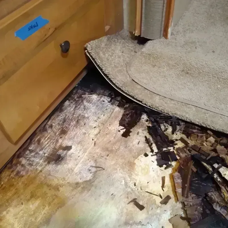 Wood Floor Water Damage in Valmeyer, IL